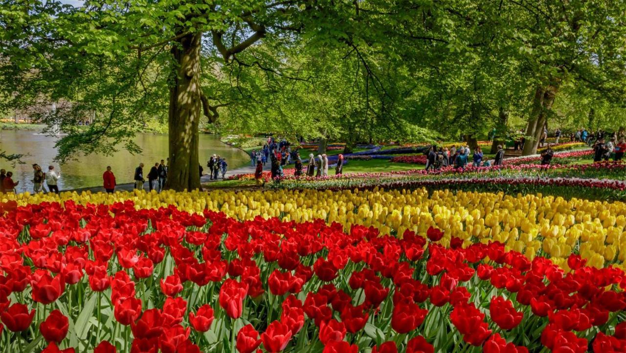 Molecaten Park Noordduinen Katwijk aan Zee Eksteriør bilde