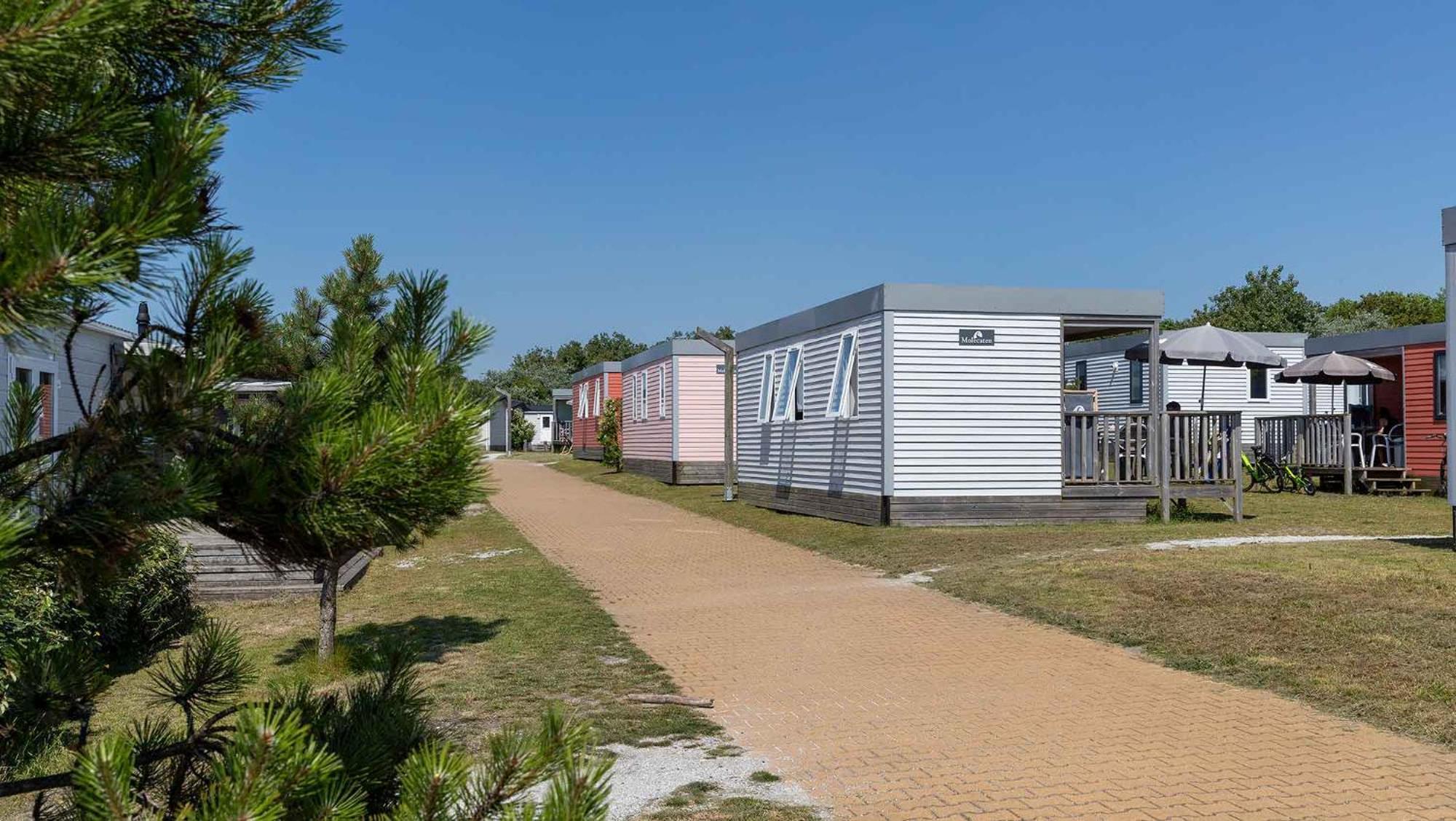 Molecaten Park Noordduinen Katwijk aan Zee Rom bilde
